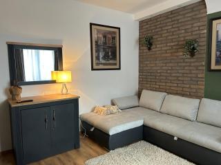 Péterfia Boutique Apartments - Debrecen - 9