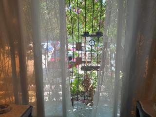 Quiet Living - Cairo - 5