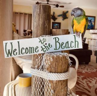 Aquapelago Pool pet Friendly St George Island Family Home - St. George Island - 9