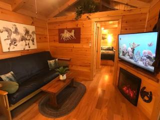The Treehouse TN Honeymoon Cabin HOT TUB - in BSF! - - 5