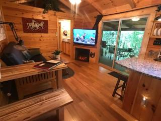 The Treehouse TN Honeymoon Cabin HOT TUB - in BSF! - - 3