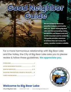 Lazy Bear Lookout - Amazing Views, Hot Tub, Game, Room, Pool Table, Pet Friendly - Big Bear Lake - 7