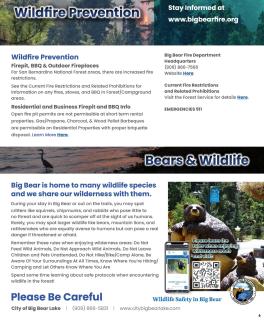 Lazy Bear Lookout - Amazing Views, Hot Tub, Game, Room, Pool Table, Pet Friendly - Big Bear Lake - 2