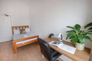 City centre ideal for Festival - 2