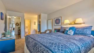 Cute Ground Floor Beachfront Suite - Sleeps 6 - Pool and Sauna - 7