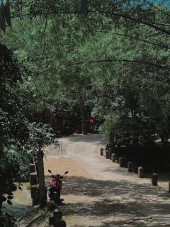 Phương Vui Homestay - - 4