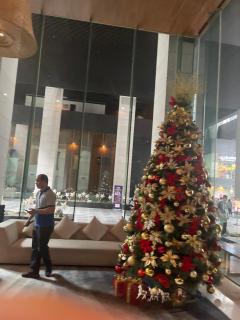 One bedroom located in salcedo village - 3