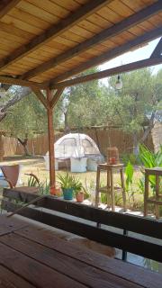 Olive Qeparo Fushe Camping - Qeparo - 6