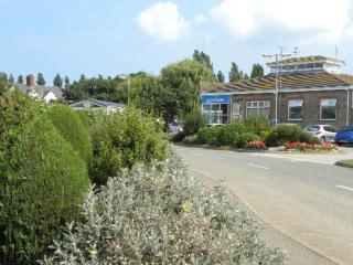 DJD ,Country Style Luxury Lodge, Manor Park Sleeps 4 - New Hunstanton - 1