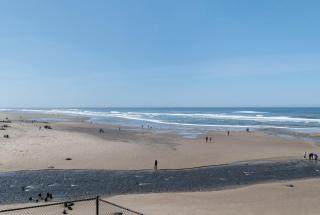 Modern Beachfront Suite - Pool and Sauna - Second Floor - Sleeps 4 - 5