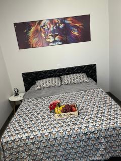 VivaVida Imperial 104 - 5