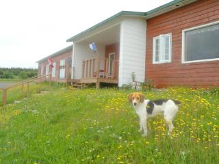 Wildberry Lodge - St. Anthony - 1