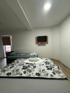Apartmani Bochkar - Peštani - 7