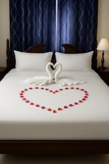 NesheLee Resorts - 9
