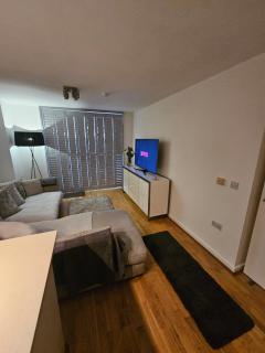 Executive Apartment with Exclusive London Views & Free Parking - 7