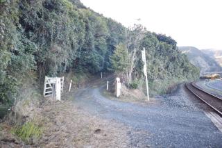 Hidden Gem Whale & Dolphin Spotting Epic Location - 3