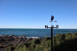 Hidden Gem Whale & Dolphin Spotting Epic Location - Oaro - 2