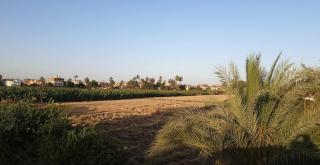 Jahmed Country Villa - Al Aqālitah - 8