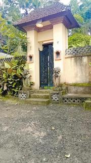 Rumi Villa - Ubud - 0