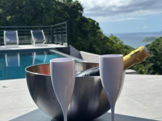 Villa Seaview - Deshaies - 1