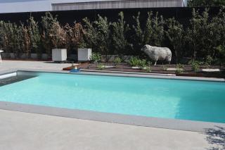 Apartments with a swimming pool - Koksijde - 2
