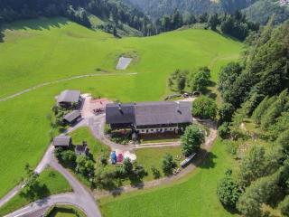 Cowshed with private sauna - Unken - 9