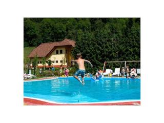 1-bedroom apartment - Kammersberg - 8