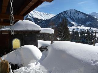 1-bedroom apartment - Riezlern - 5