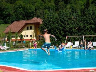 1-bedroom holiday apartment - Kammersberg - 8