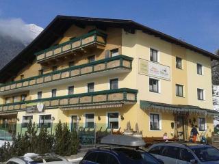 Forest hyacinth riding stable Alpin Appart - 9