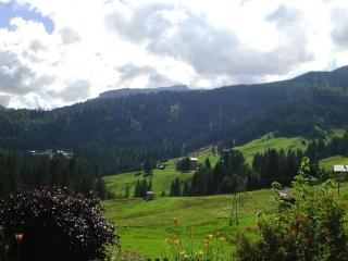 Holiday apartment with 2 bedrooms - Riezlern - 8