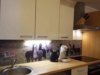Edelweiss Riding stable Alpine Appart - 4