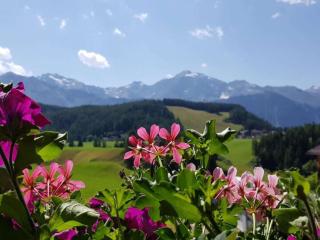Edelweiss Riding stable Alpine Appart - 0