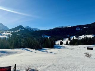 Holiday apartment with 2 bedrooms - Riezlern - 7