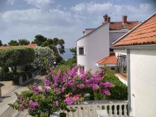 Apartment in Petrcane - Zadar Riviera 7842 - 0