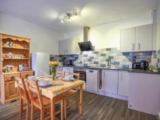 Ash - Uk38688 - Bideford - 9