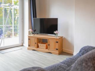 Ash - Uk38688 - Bideford - 6