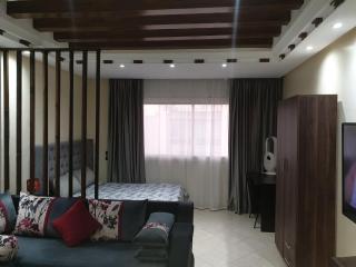 Superb studio at the ocean - 7