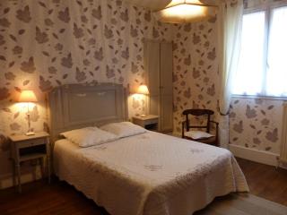 Gîte à Saint-Ennemond avec cheminée et jardin clos - FR-1-489-11 - 7