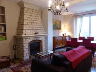 Gîte à Saint-Ennemond avec cheminée et jardin clos - FR-1-489-11 - 6