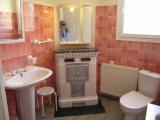 Gîte à Saint-Ennemond avec cheminée et jardin clos - FR-1-489-11 - 2