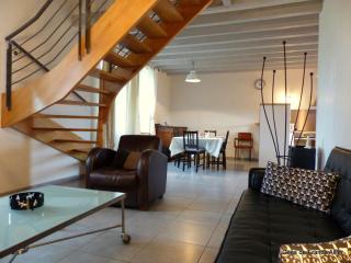 Gîte contemporain rénové avec jardin et animaux acceptés - FR-1-489-36 - 7
