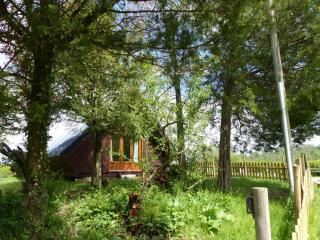 Chalet familial près de Vichy, terrasse, animaux acceptés - FR-1-489-274 - Le Vernet - 4