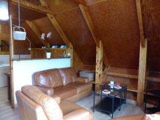 Chalet équestre proche Vichy, terrasse et animaux admis - FR-1-489-274 - 1