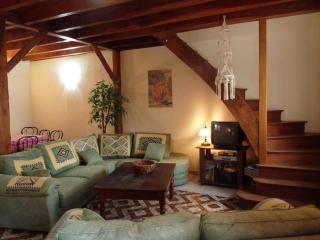 Maison en pierre avec jardin, jeux enfants et animaux acceptés - FR-1-489-137 - Nizerolles - 7