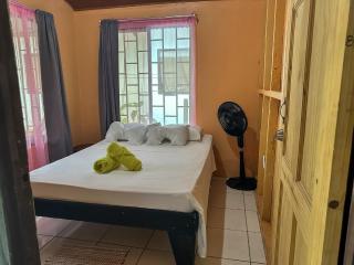 Tortuguero Family House - Colorado - 9