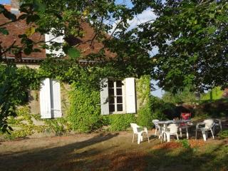 Grande demeure, jardin clos, clim, proche Moulins - gîte avec draps et ménage inclus - FR-1-489-126 - Deux-Chaises - 0