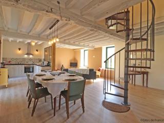 Maison en pierres avec Grand Jardin, WIFI, tout inclus - FR-1-497-170 - Neuvy-au-Houlme - 4