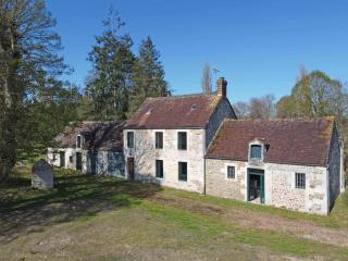 Maison en pierres avec Grand Jardin, WIFI, tout inclus - FR-1-497-170 - Neuvy-au-Houlme - 2