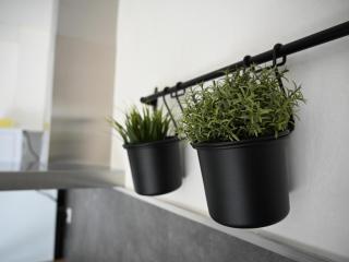 Maison rénovée au calme avec jardin, terrasse et garage, à 10 min de Moulins, draps et serviettes inclus - FR-1-489-372 - Villeneuve-sur-Allier - 1